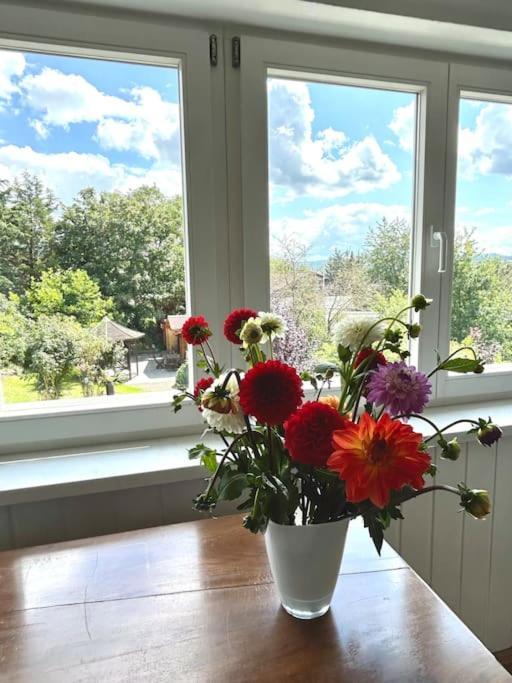 Sonnige Wohnung Am Lindenberg Lohfelden Bagian luar foto